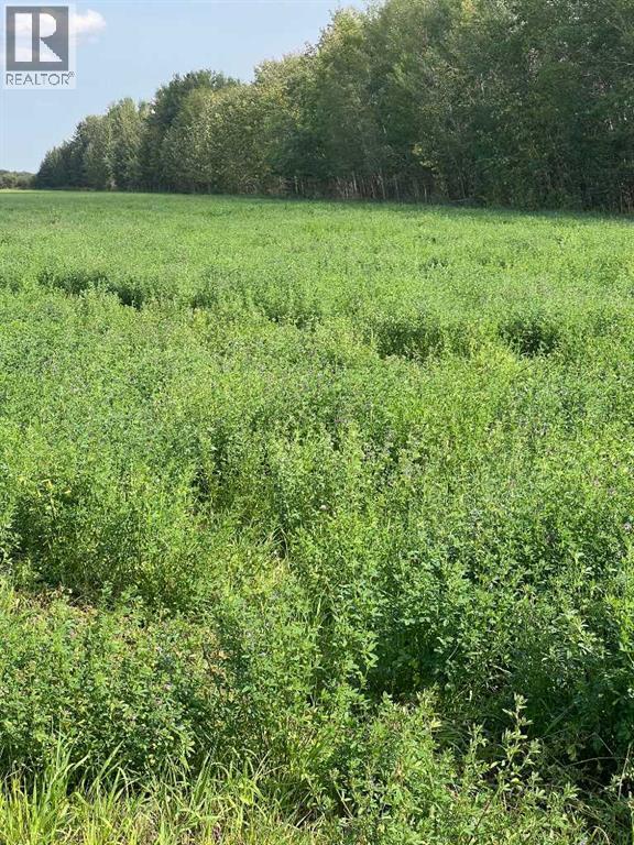 Portion Of Ne 2 74 9 W6 & Nw 2 74 9 W6, La Glace, Alberta  T0H 2J0 - Photo 26 - A2278258