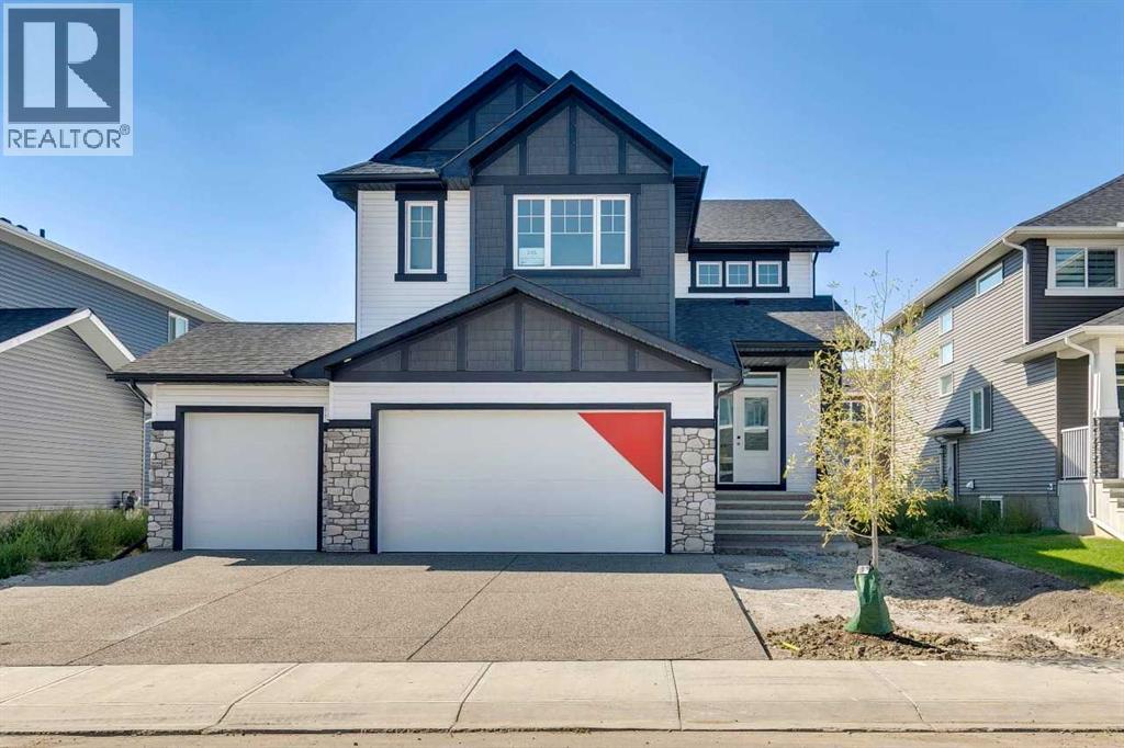 picture 1