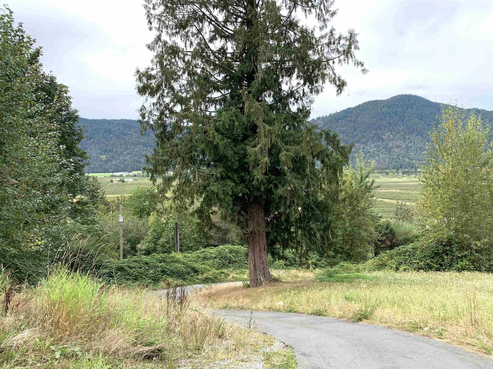 10710 Sylvester Road, Mission, British Columbia  V2V 4J1 - Photo 8 - R3161079