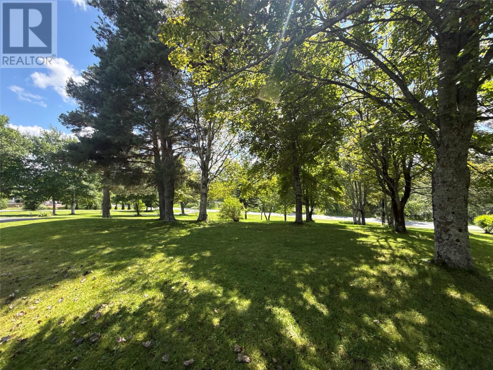 6 Sunset Drive, Grand Falls-Windsor — photo 16
