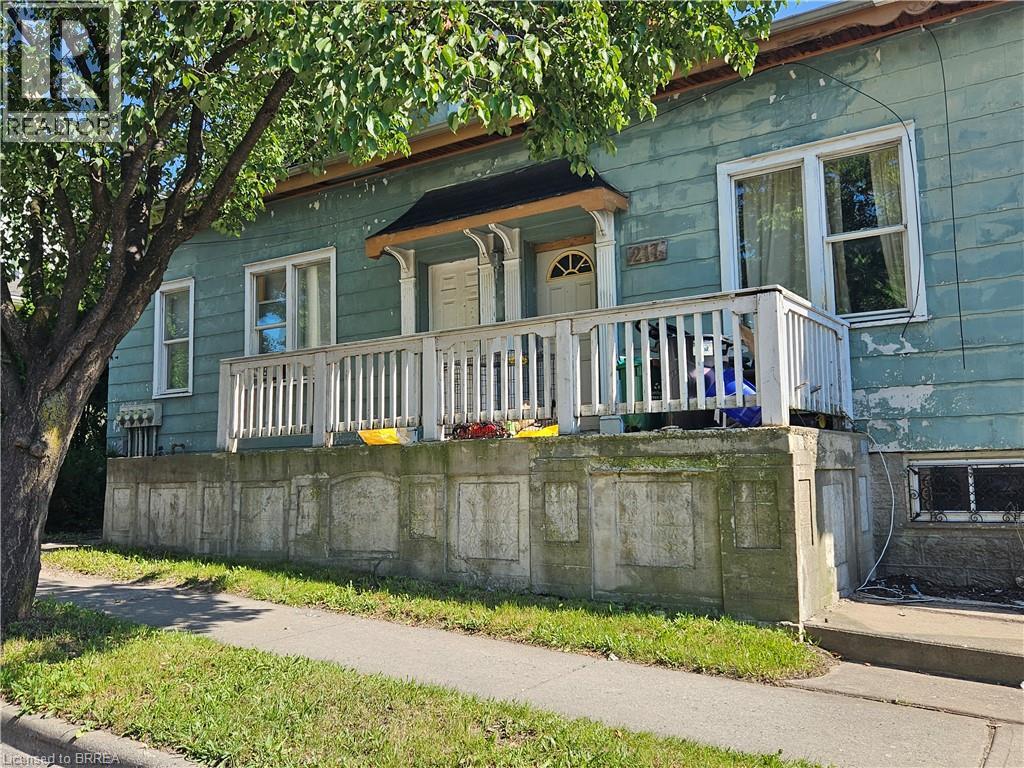 217-219 Dalhousie Street, Brantford, Ontario  N3S 3T8 - Photo 3 - 40860383