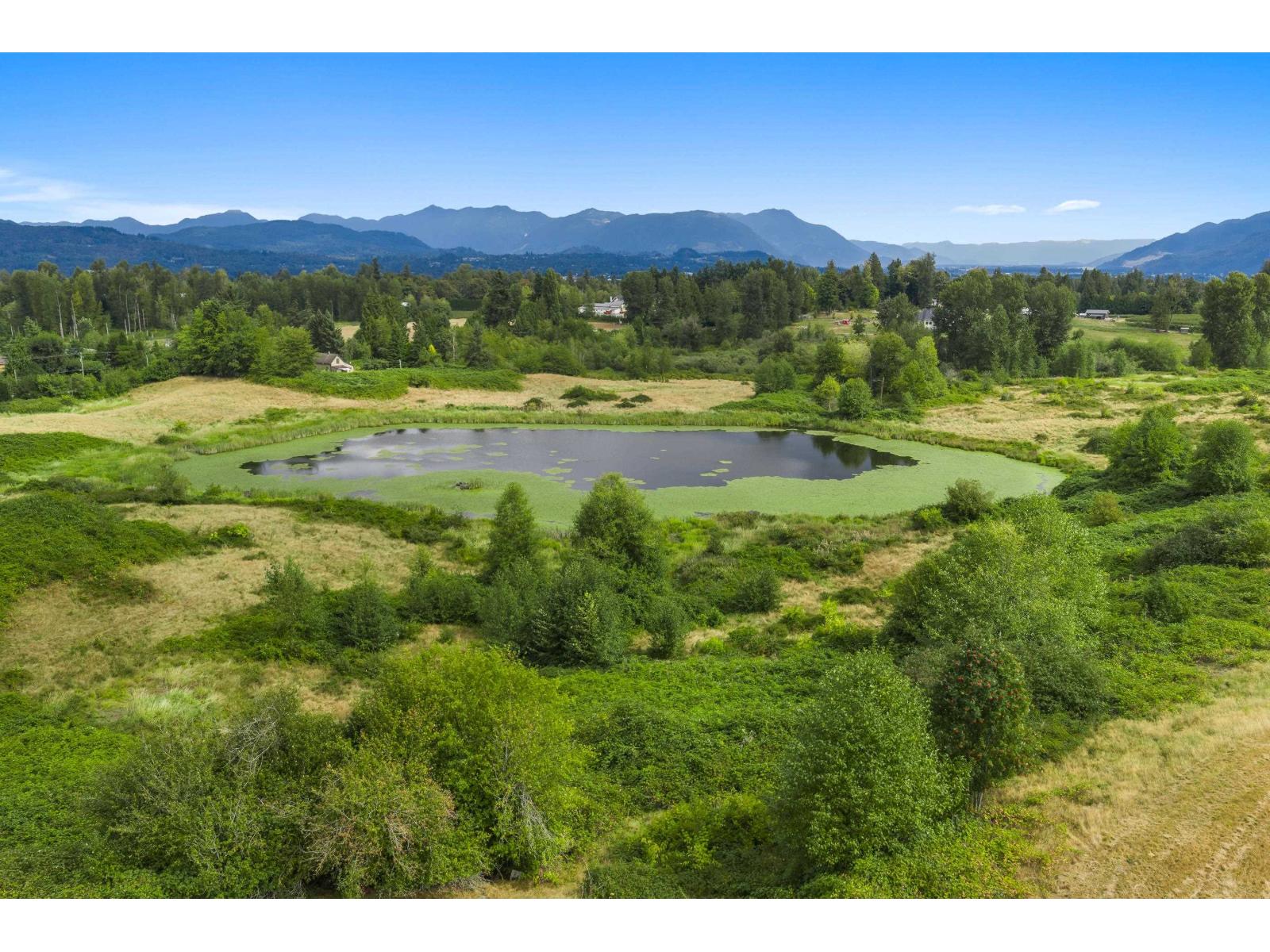 29750 Harris Road, Abbotsford, British Columbia  V4X 1Y9 - Photo 37 - R3160877