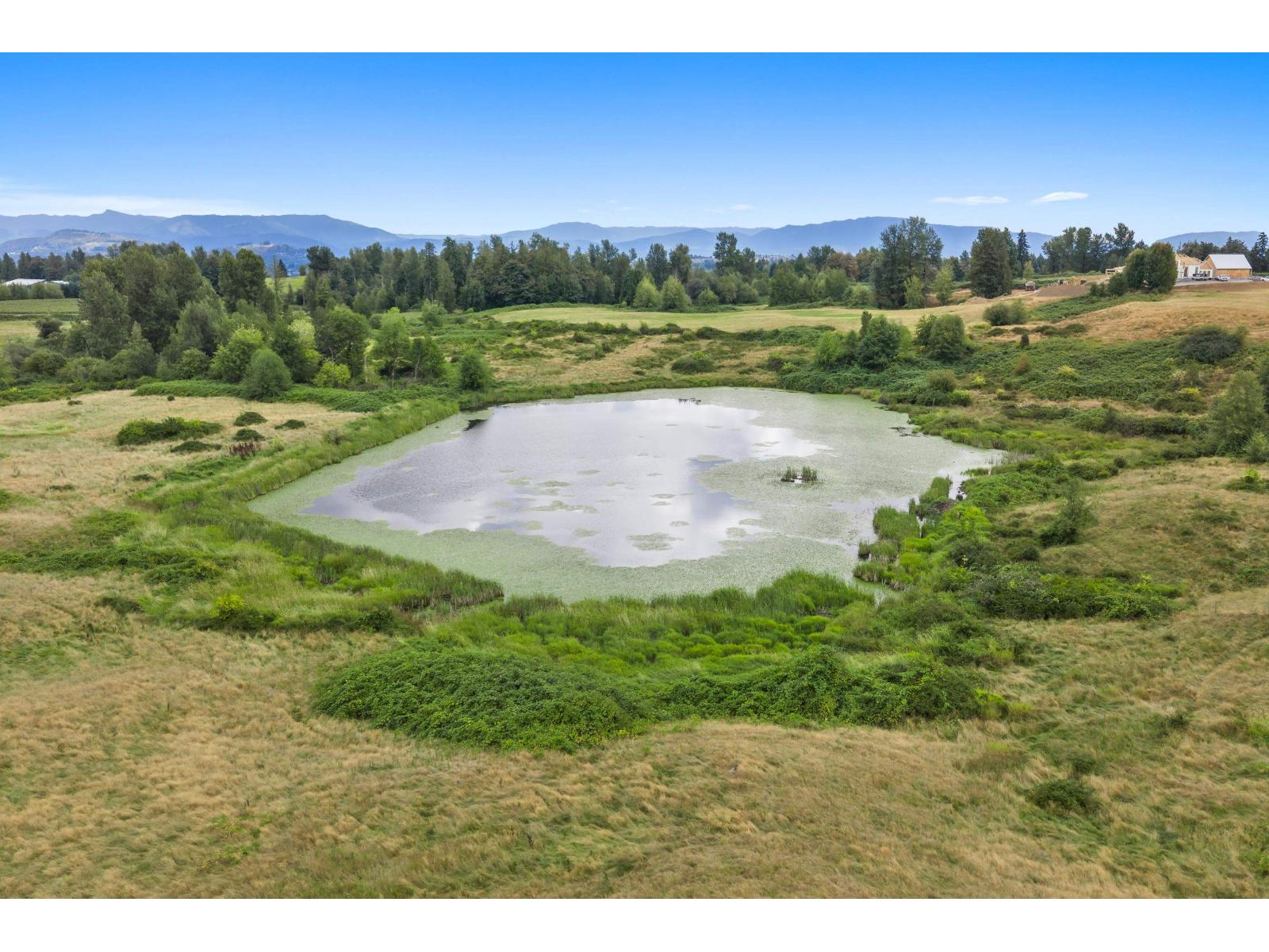 29750 Harris Road, Abbotsford, British Columbia  V4X 1Y9 - Photo 34 - R3160877
