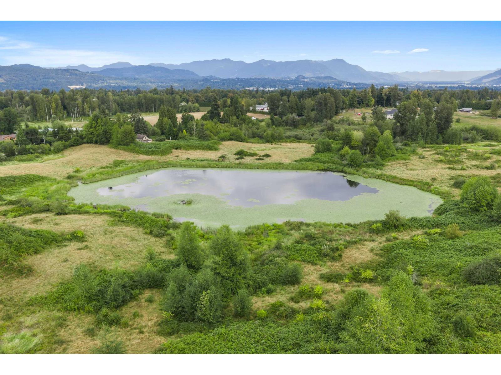 29750 Harris Road, Abbotsford, British Columbia  V4X 1Y9 - Photo 38 - R3160877