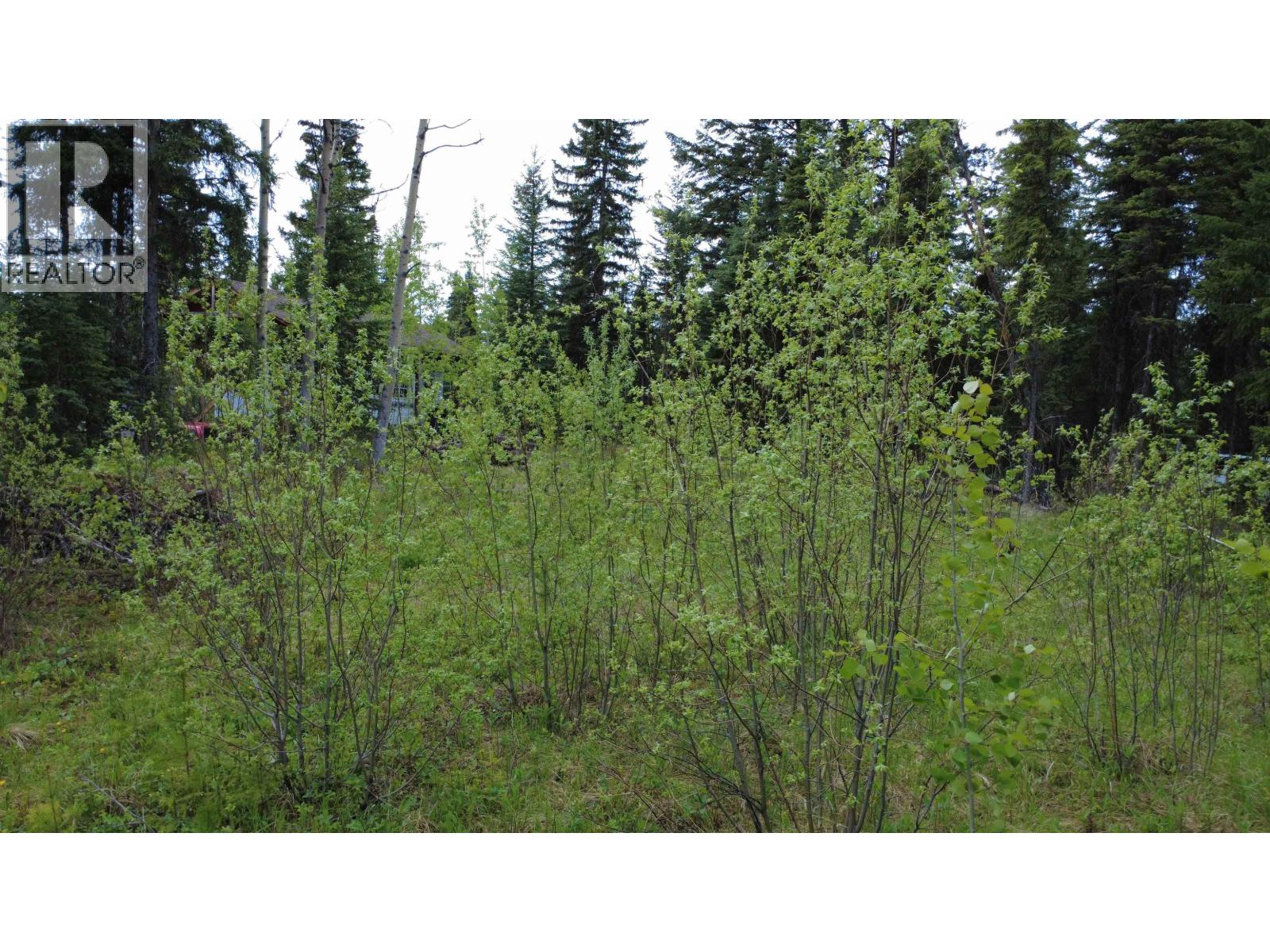 Lot 177 Faraway Road, Lone Butte, British Columbia  V0K 1X3 - Photo 5 - R3161321