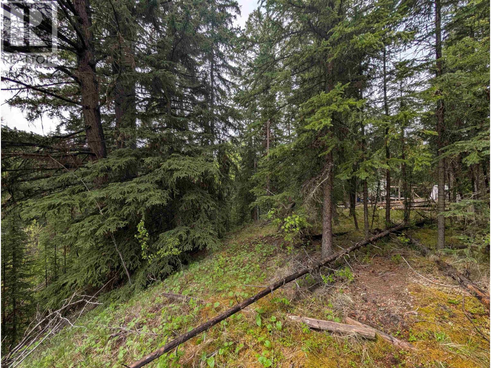 Lot 177 Faraway Road, Lone Butte, British Columbia  V0K 1X3 - Photo 9 - R3161321