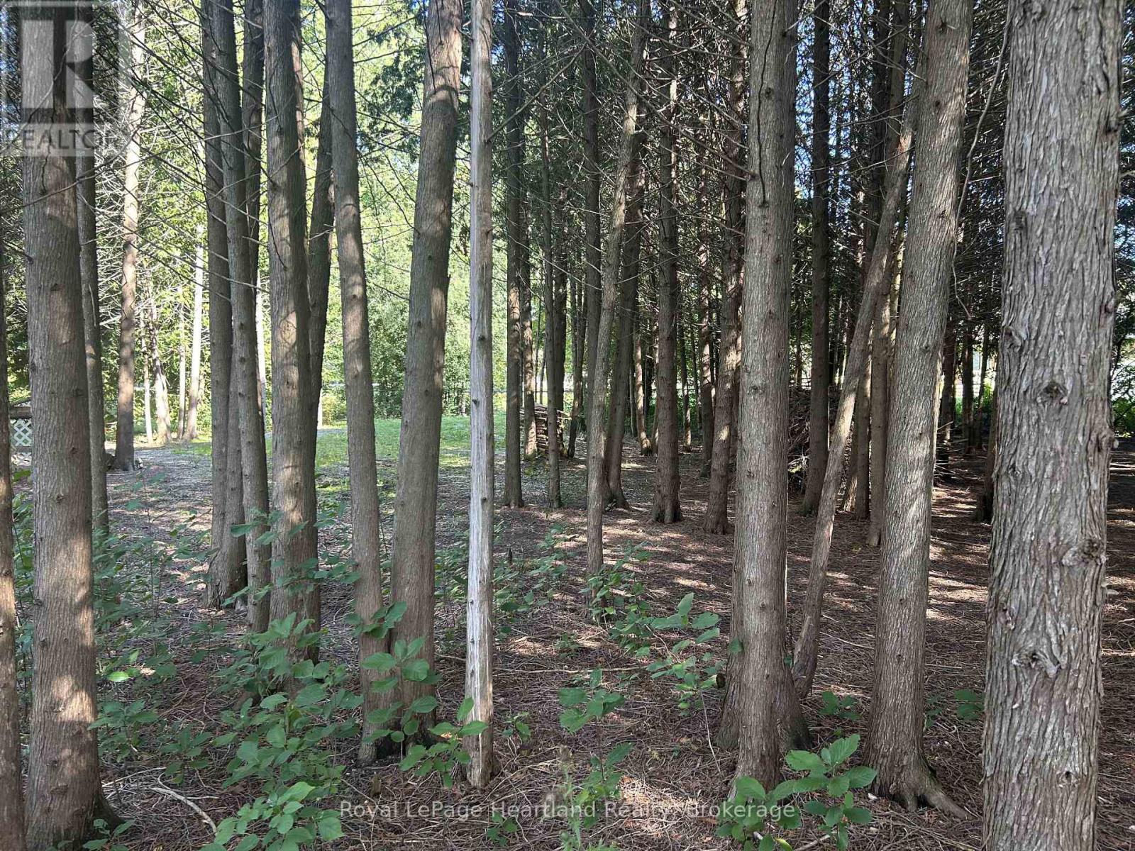 90 Mary Street, North Huron, Ontario  N0G 2W0 - Photo 42 - X13742102