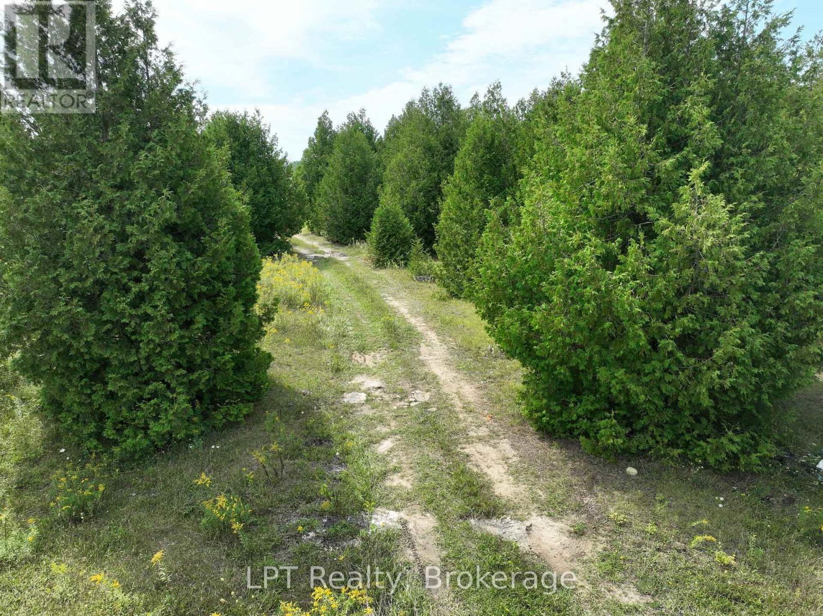 387 Spry Lake Road, South Bruce Peninsula, Ontario  N0H 2T0 - Photo 39 - X13742174