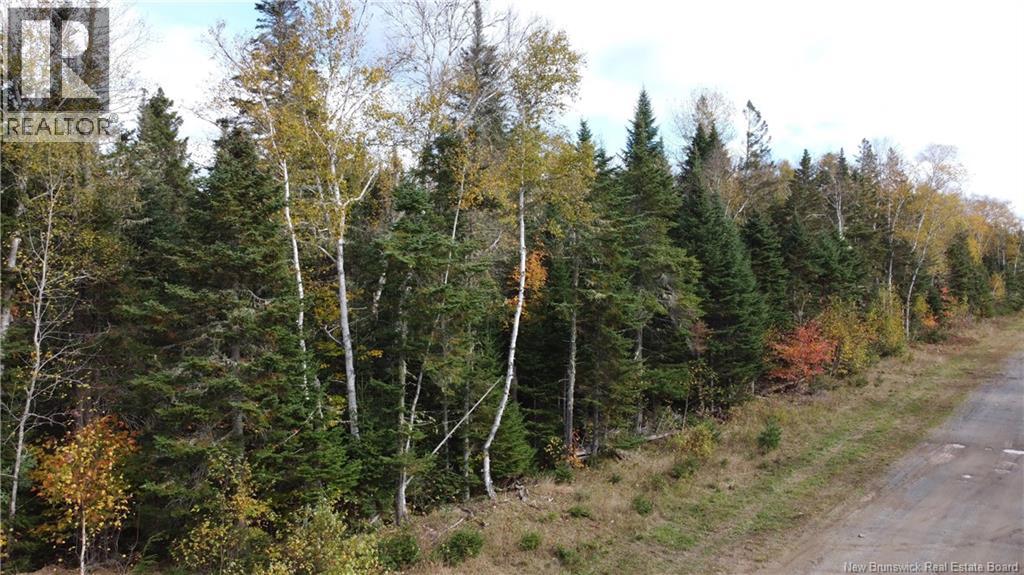 Lot 26-2 Glencoe Road, Nashwaak Bridge, New Brunswick E6C 1T5 - Photo 19 - NB144481
