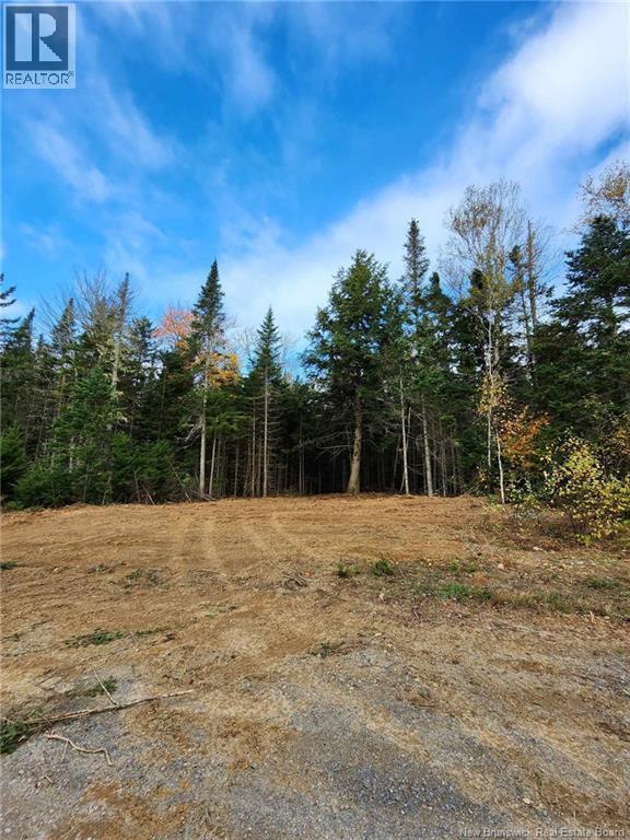 Lot 26-2 Glencoe Road, Nashwaak Bridge, New Brunswick E6C 1T5 - Photo 9 - NB144481