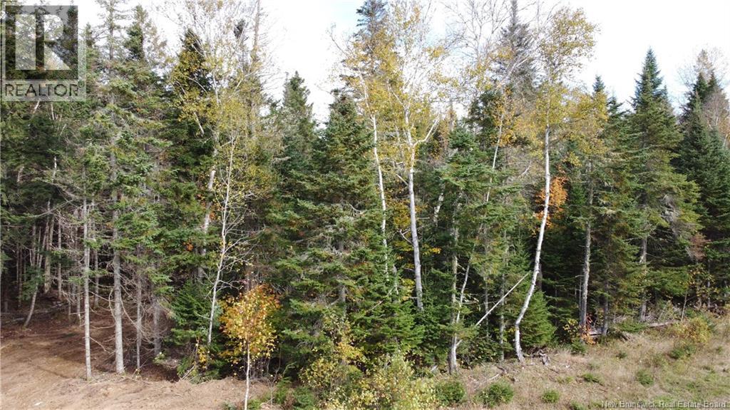 Lot 26-2 Glencoe Road, Nashwaak Bridge, New Brunswick E6C 1T5 - Photo 18 - NB144481
