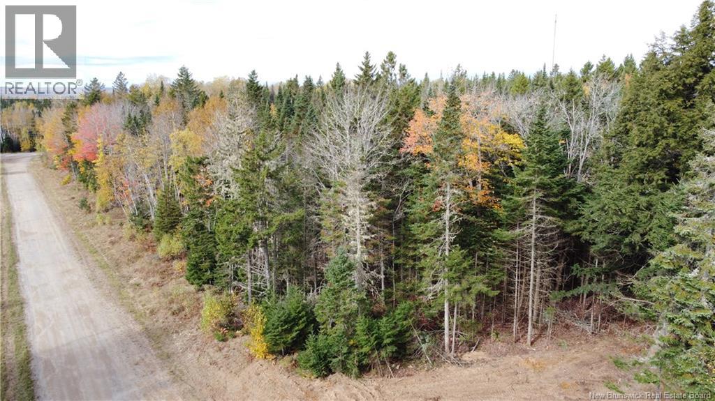 Lot 26-2 Glencoe Road, Nashwaak Bridge, New Brunswick E6C 1T5 - Photo 16 - NB144481