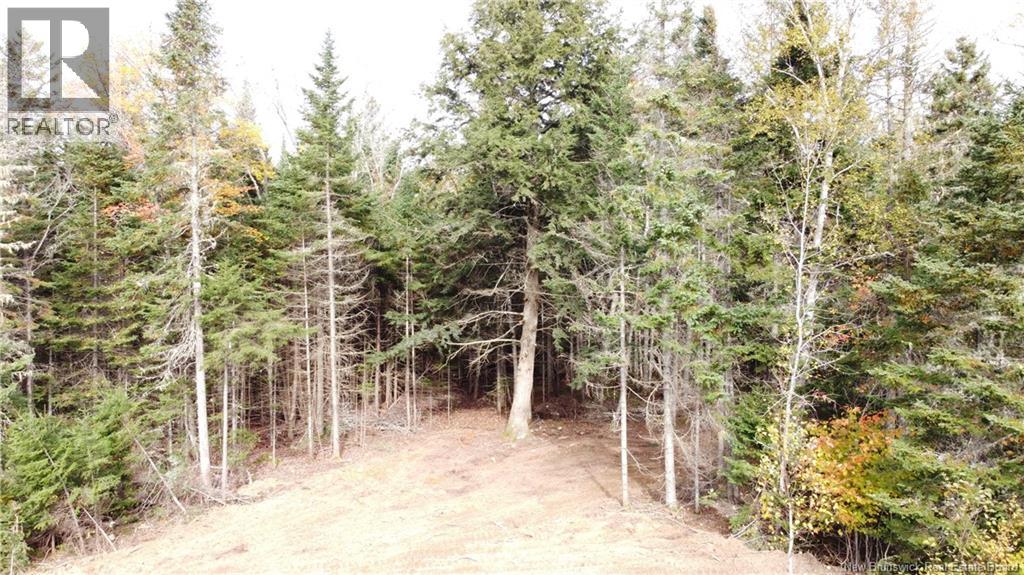 Lot 26-2 Glencoe Road, Nashwaak Bridge, New Brunswick E6C 1T5 - Photo 17 - NB144481