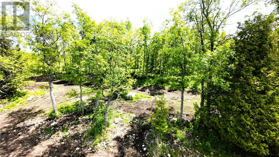Part 2 N'gokan Milkan Road, Manitoulin Island, Ontario P0P 1W0 - Photo 11 - 2126973