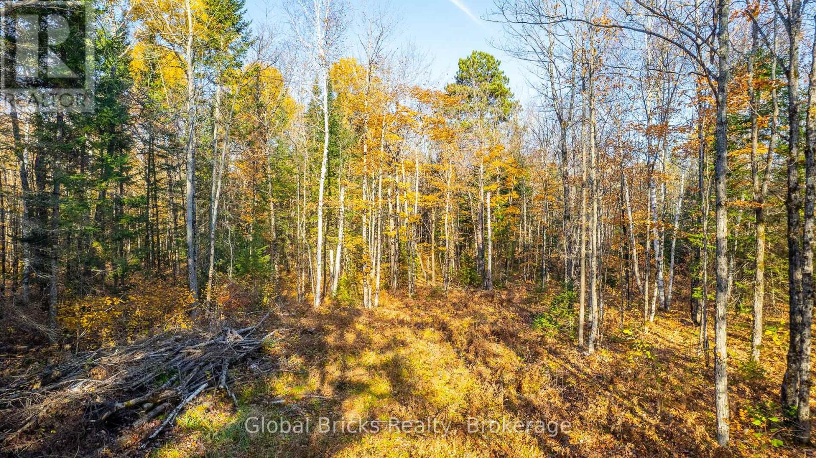 0 Kawagama Lake Road, Algonquin Highlands, Ontario  P0A 1E0 - Photo 11 - X12957162
