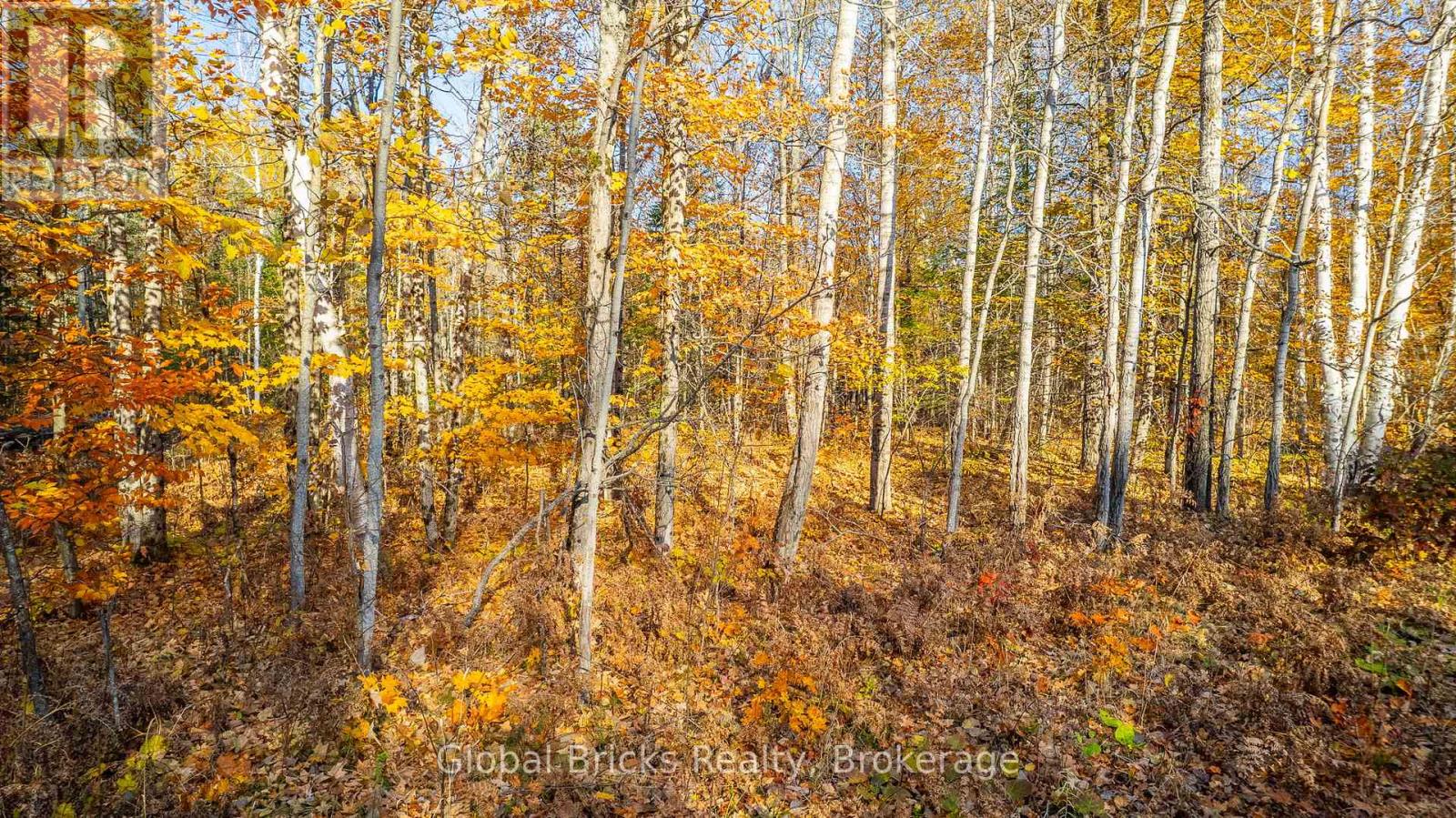 0 Kawagama Lake Road, Algonquin Highlands, Ontario  P0A 1E0 - Photo 10 - X12957162