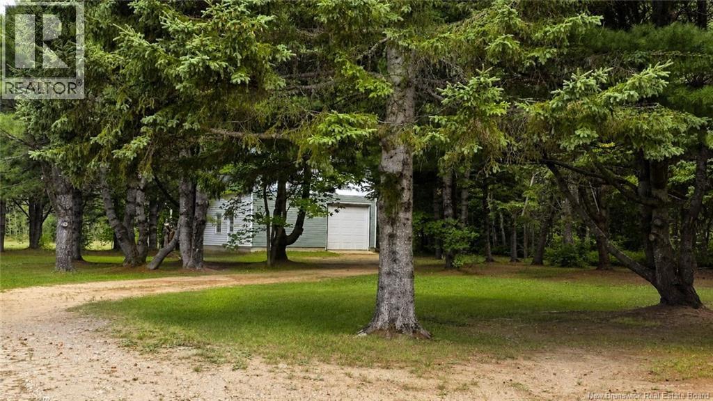 735 Route 445, Fairisle, New Brunswick  E9G 2W8 - Photo 36 - NB147024