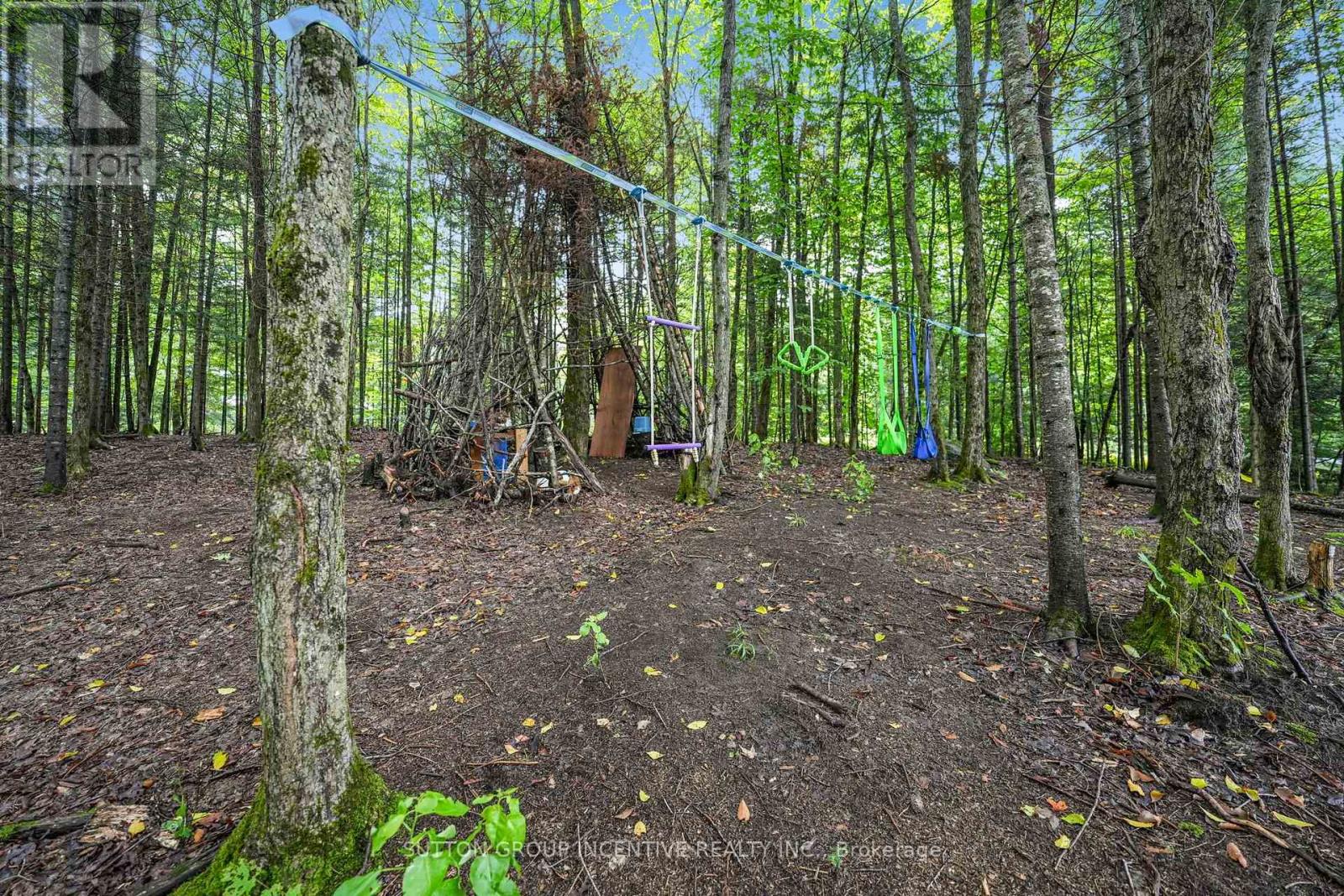 1642 Williamsport Road, Huntsville, Ontario  P1H 2J4 - Photo 47 - X13742282