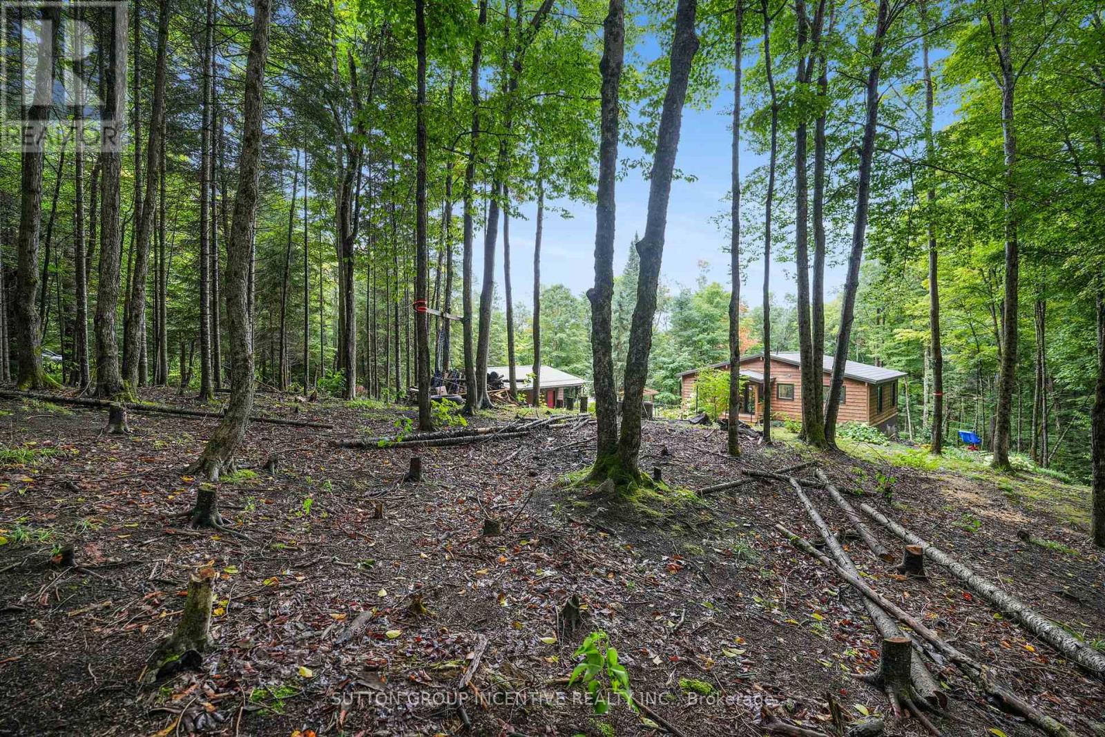 1642 Williamsport Road, Huntsville, Ontario  P1H 2J4 - Photo 48 - X13742282