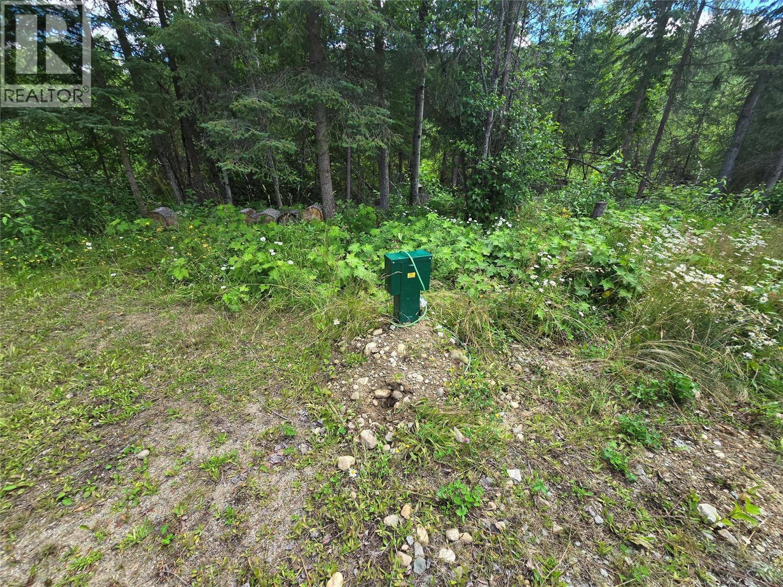 605 Moul Creek Road, Clearwater, British Columbia  V0E 1N1 - Photo 8 - 10399747