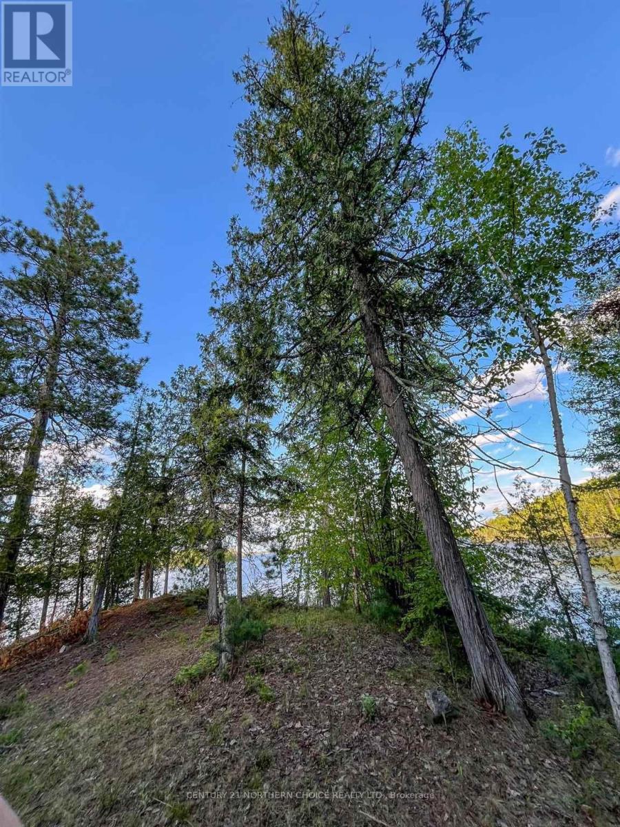 11 Hay Island E, Kenora, Ontario  P0X 1H0 - Photo 4 - X13416516