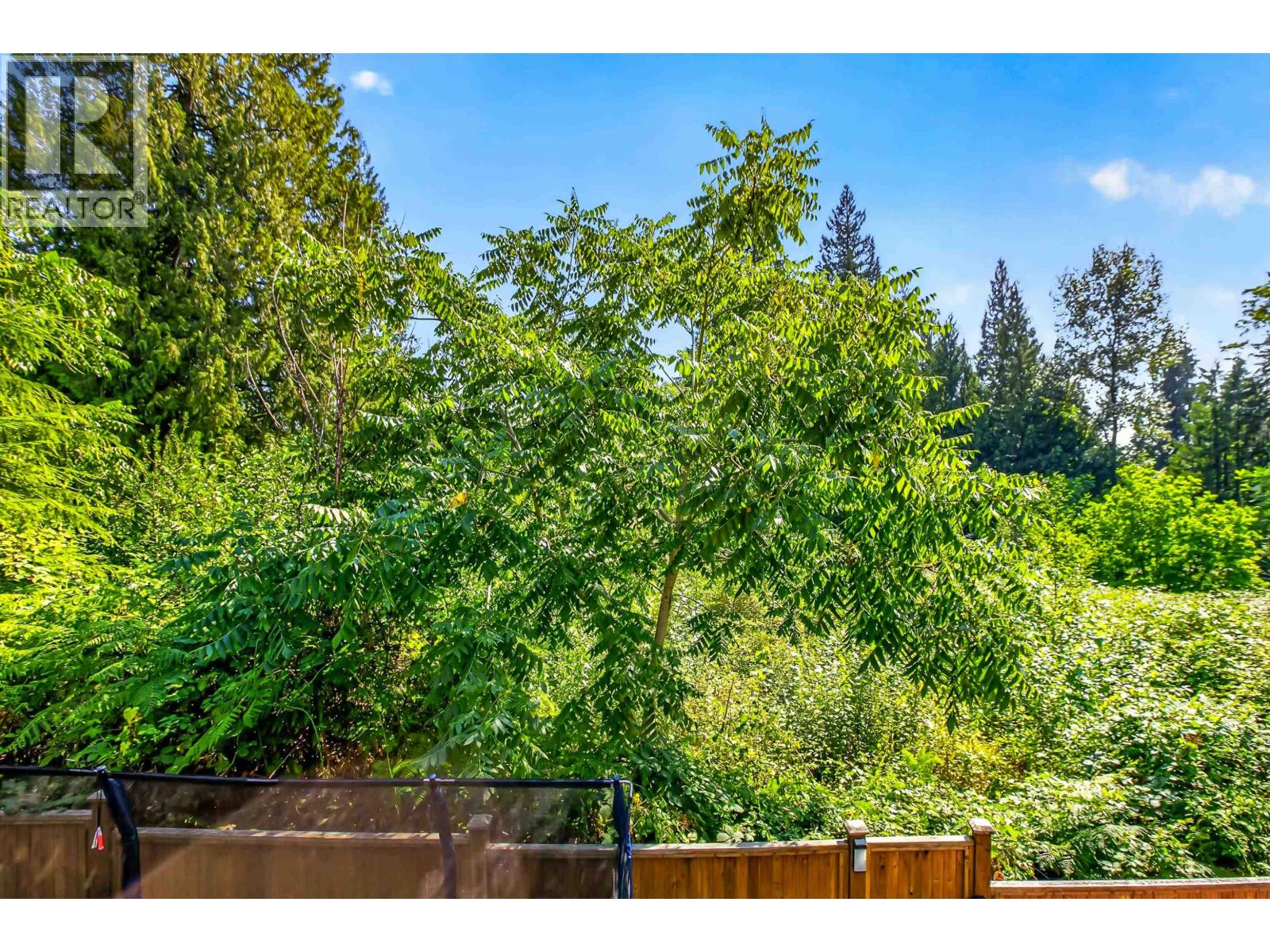 10 13263 236 Street, Maple Ridge, British Columbia  V4R 0H3 - Photo 33 - R3161320