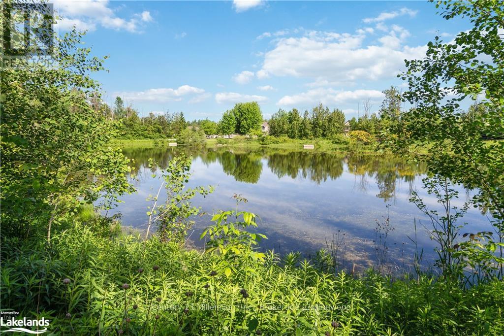 6 Mckean Crescent, Collingwood, Ontario  L9Y 0C1 - Photo 48 - S13742466