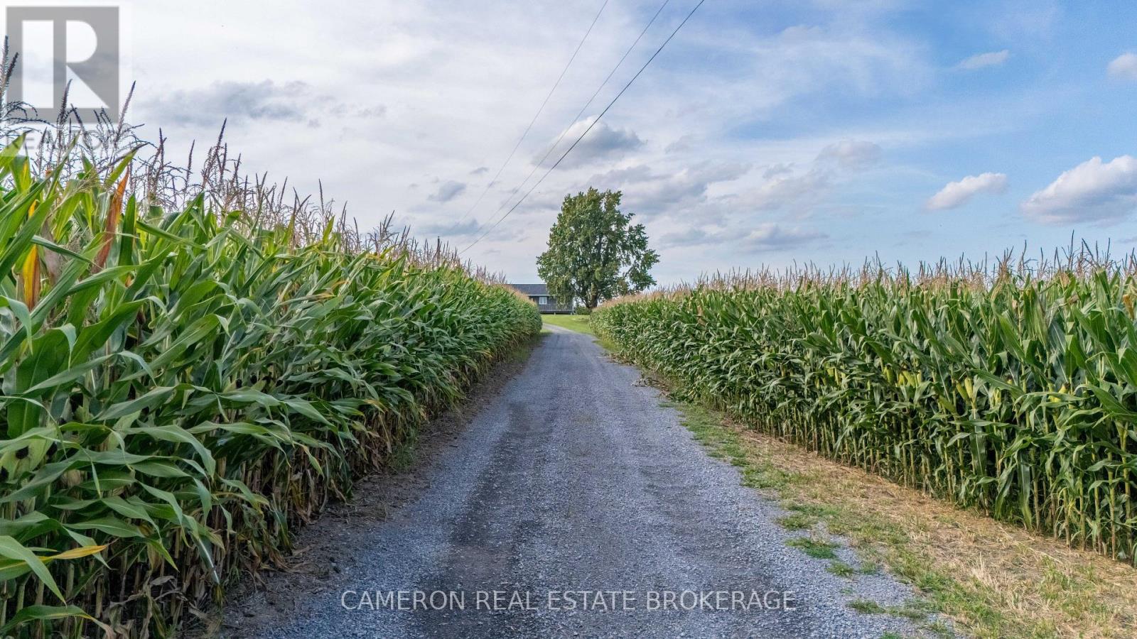 18163 North Branch Road, South Glengarry, Ontario  K0C 1S0 - Photo 6 - X13742492