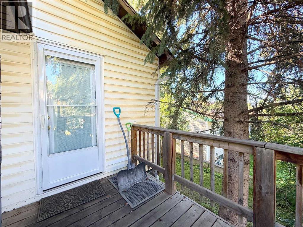 4904 53 Street, Athabasca, Alberta  T9S 1L1 - Photo 28 - A2342529