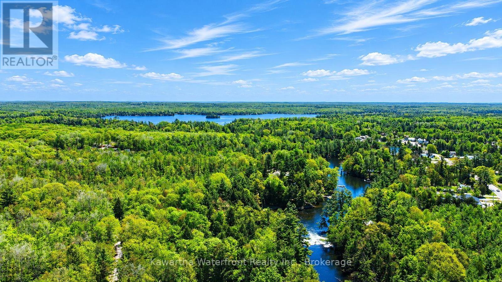 85 Nevison Drive, Kawartha Lakes, Ontario  K0M 2L0 - Photo 36 - X13742464