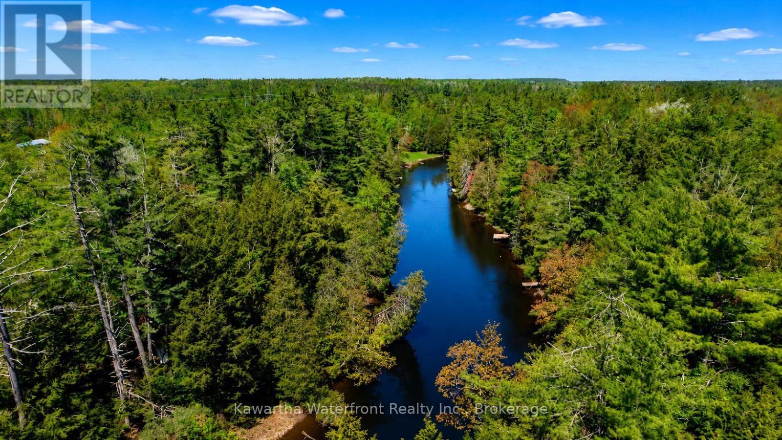 85 Nevison Drive, Kawartha Lakes, Ontario  K0M 2L0 - Photo 37 - X13742464