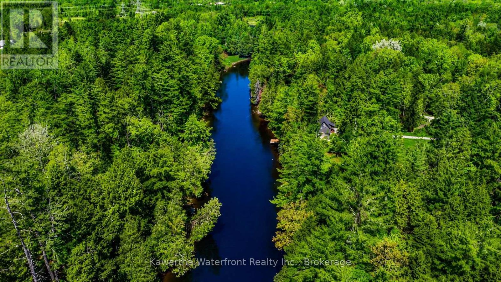 85 Nevison Drive, Kawartha Lakes, Ontario  K0M 2L0 - Photo 38 - X13742464