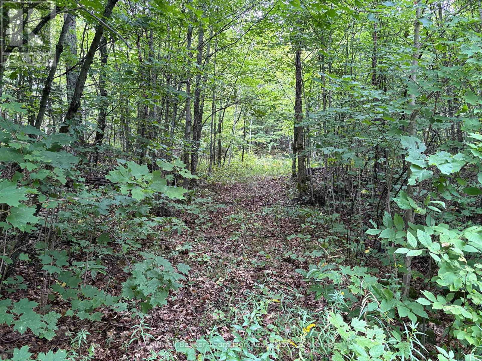 695b Spring Lake Road, Parry Sound Remote Area, Ontario P0A 1X0 - Photo 29 - X13735134