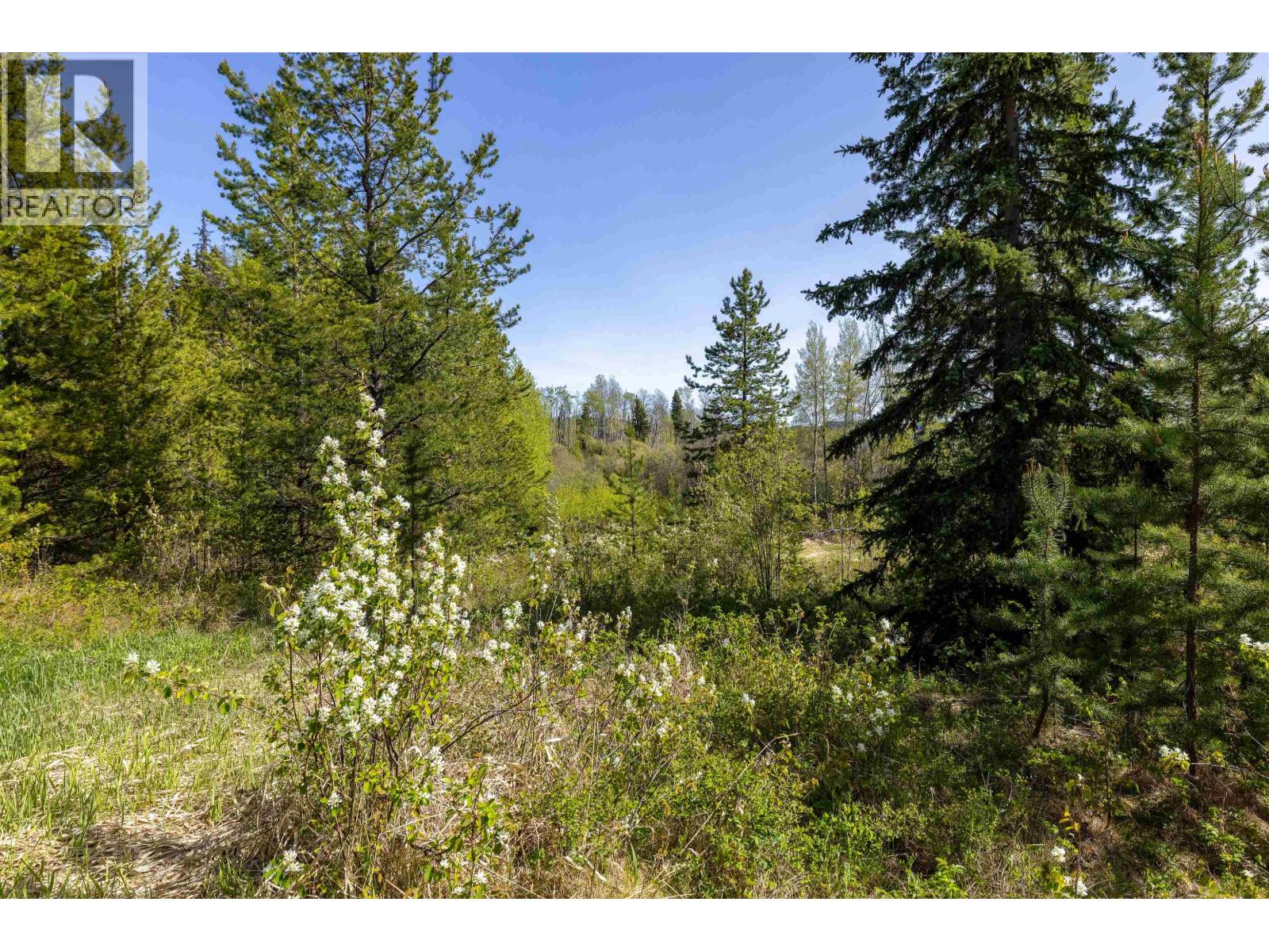 1000 Tachie Road, Fort St. James, British Columbia  V0J 1P0 - Photo 19 - R3161210