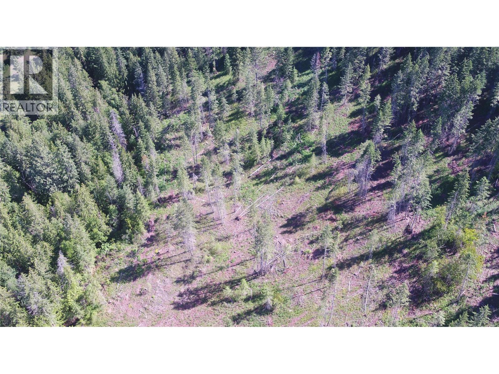 Lot A Ranch Road Lot# Lot A, Vernon, British Columbia  V1B 3J9 - Photo 13 - 10386774