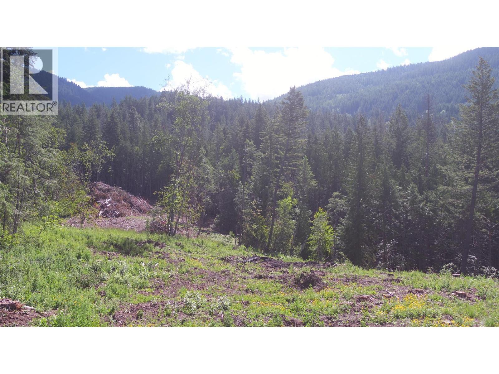 Lot A Ranch Road Lot# Lot A, Vernon, British Columbia  V1B 3J9 - Photo 7 - 10386774