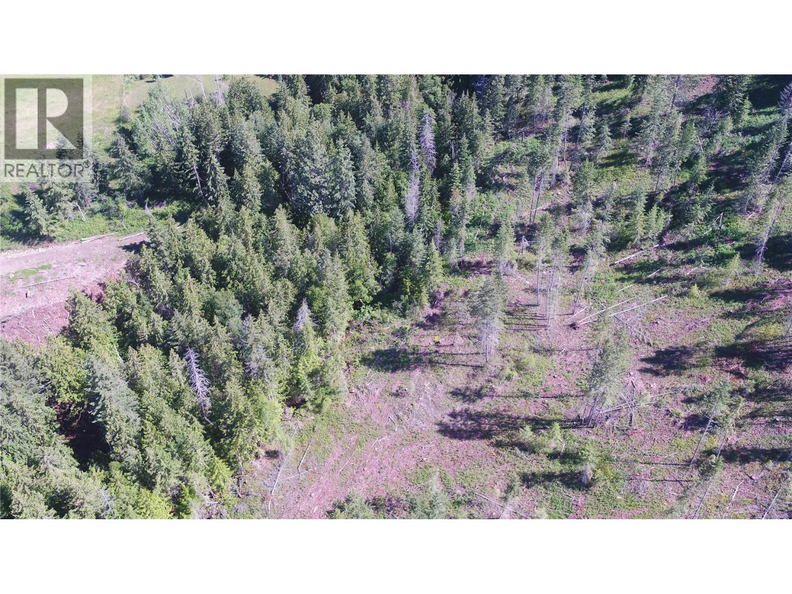 Lot A Ranch Road Lot# Lot A, Vernon, British Columbia  V1B 3J9 - Photo 11 - 10386774
