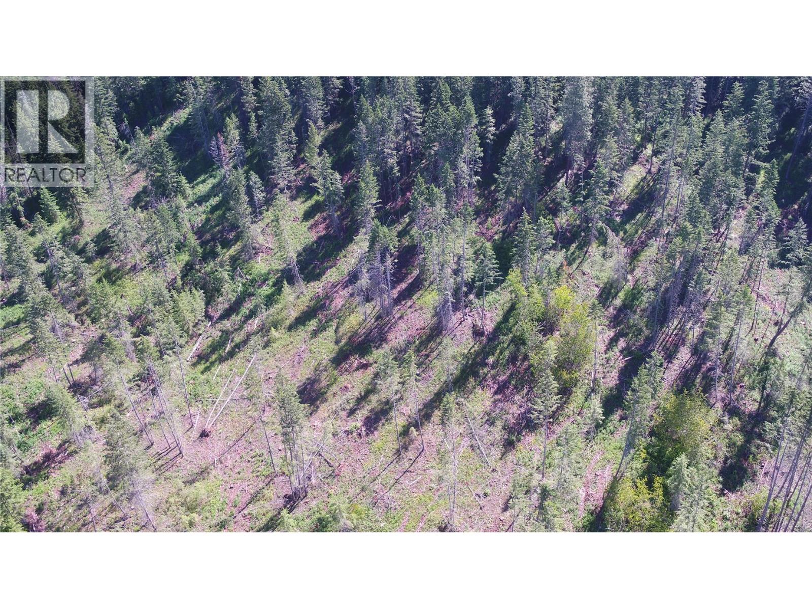 Lot A Ranch Road Lot# Lot A, Vernon, British Columbia  V1B 3J9 - Photo 9 - 10386774