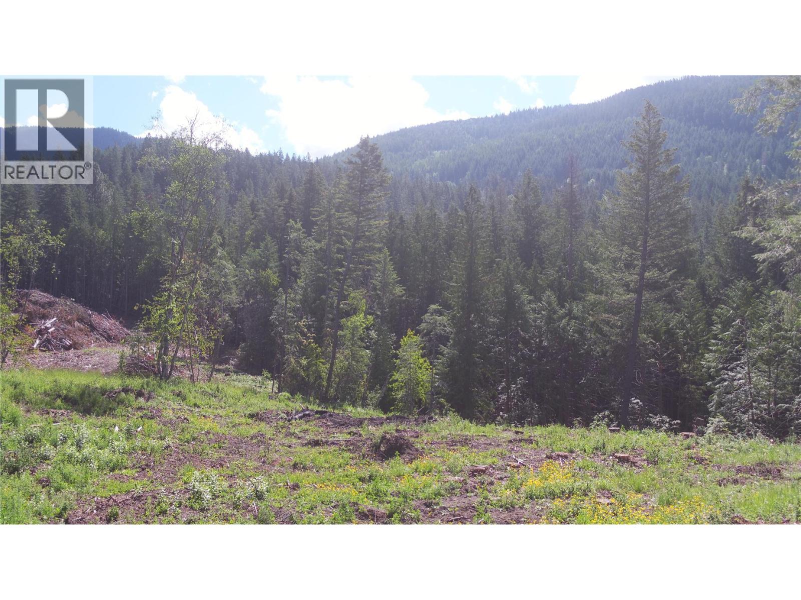 Lot A Ranch Road Lot# Lot A, Vernon, British Columbia  V1B 3J9 - Photo 20 - 10386774