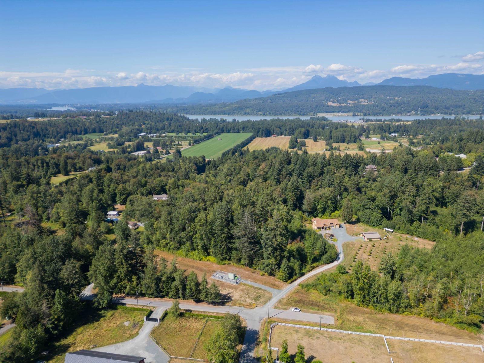 25376 80 Avenue, Langley, British Columbia  V1M 3M9 - Photo 8 - R3161169