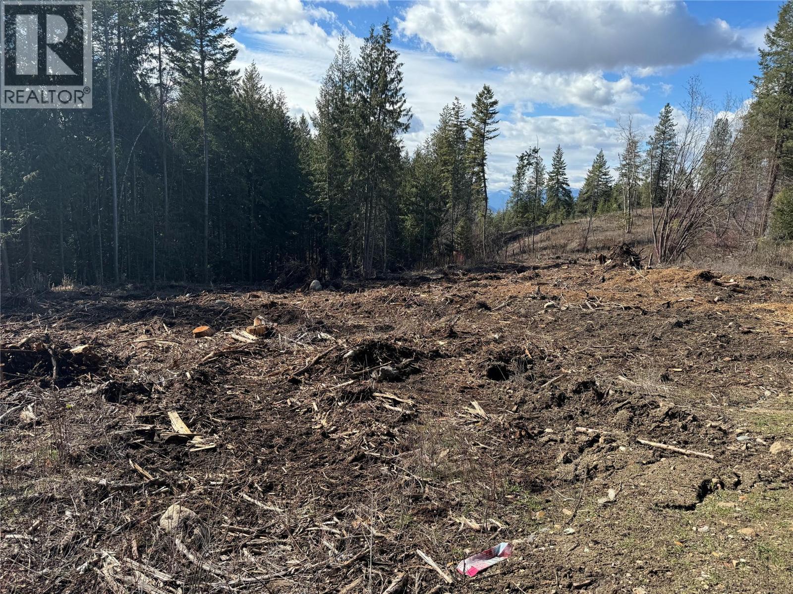 Lot B Ranch Road Lot# Lot B, Vernon, British Columbia  V1B 3J9 - Photo 6 - 10386783
