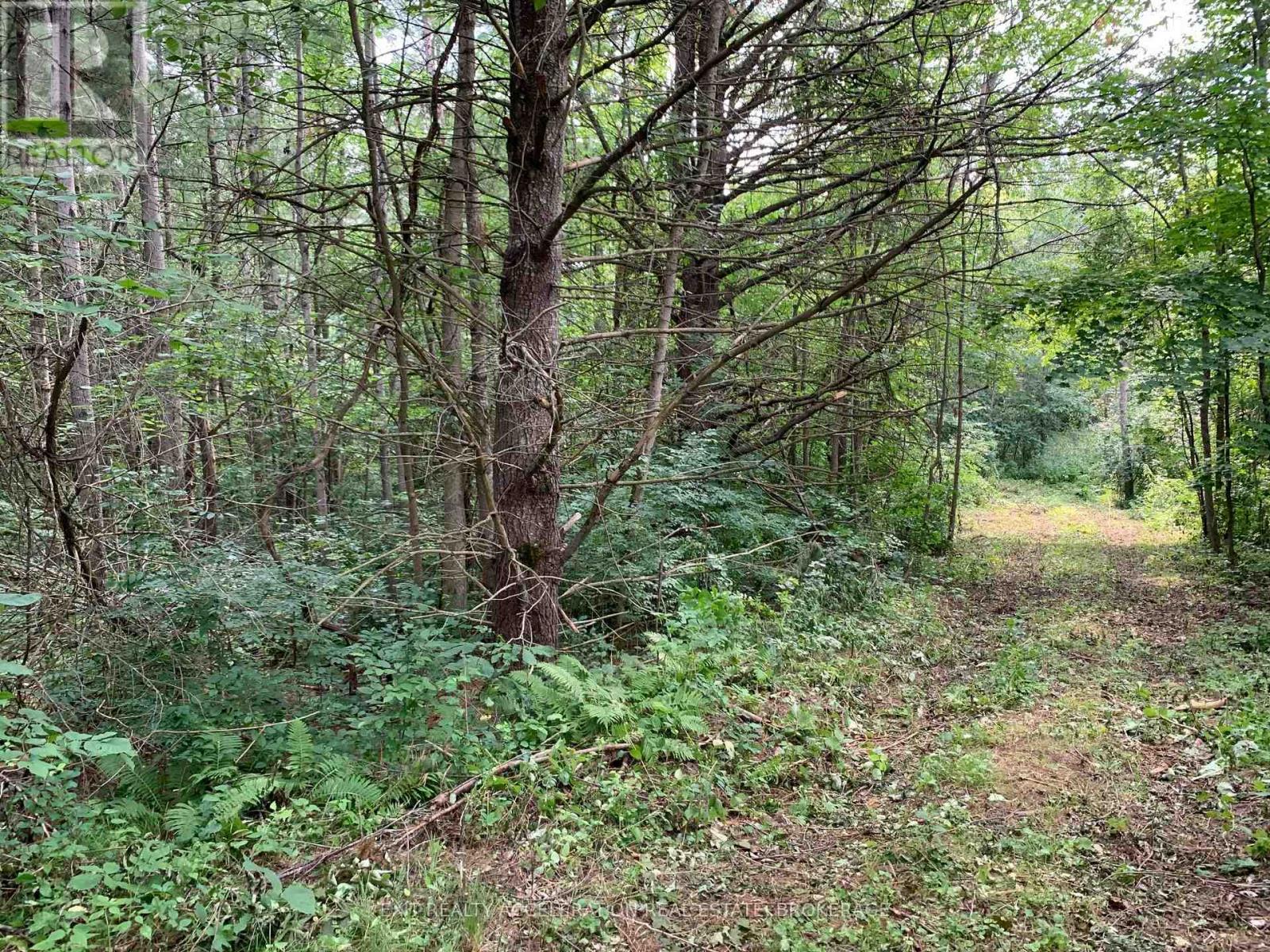 00 Con11 Pine Grove Road, Greater Napanee, Ontario  K0K 2L0 - Photo 10 - X13013162
