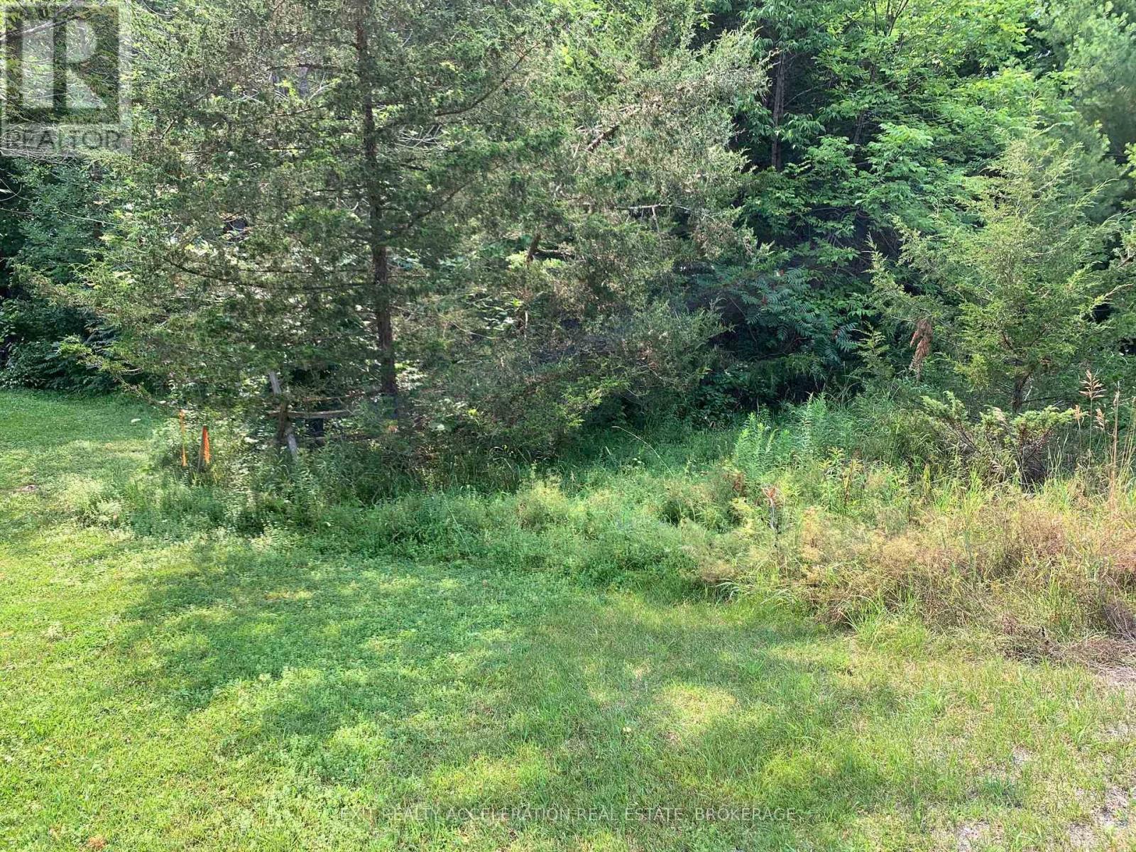 00 Con11 Pine Grove Road, Greater Napanee, Ontario  K0K 2L0 - Photo 13 - X13013162