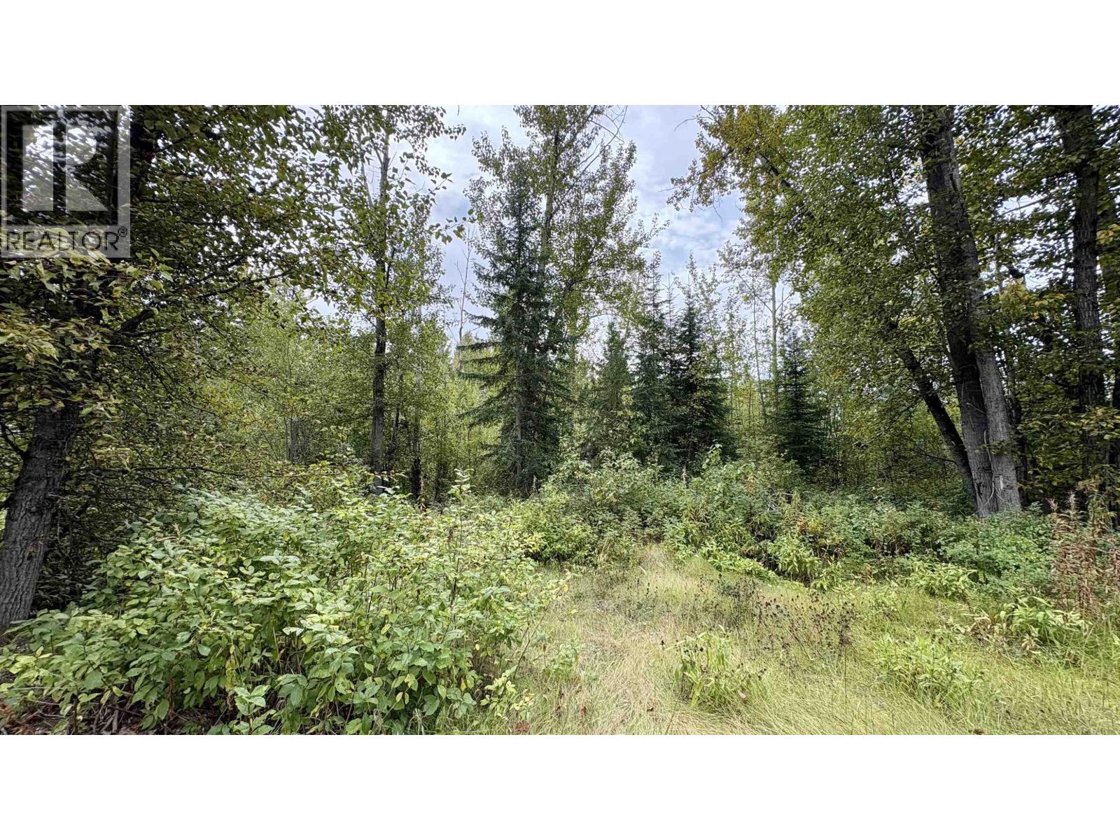 Lot 25 Meadowview Road, Prince George, British Columbia  V2K 5V5 - Photo 4 - R3147770
