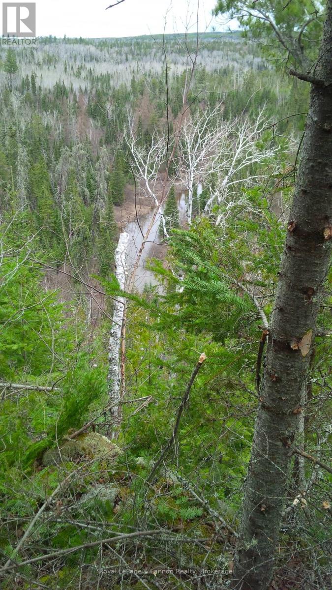 Lot 40 Road 4 N, Thunder Bay Remote Area, Ontario  P7B 5E4 - Photo 50 - X13717636