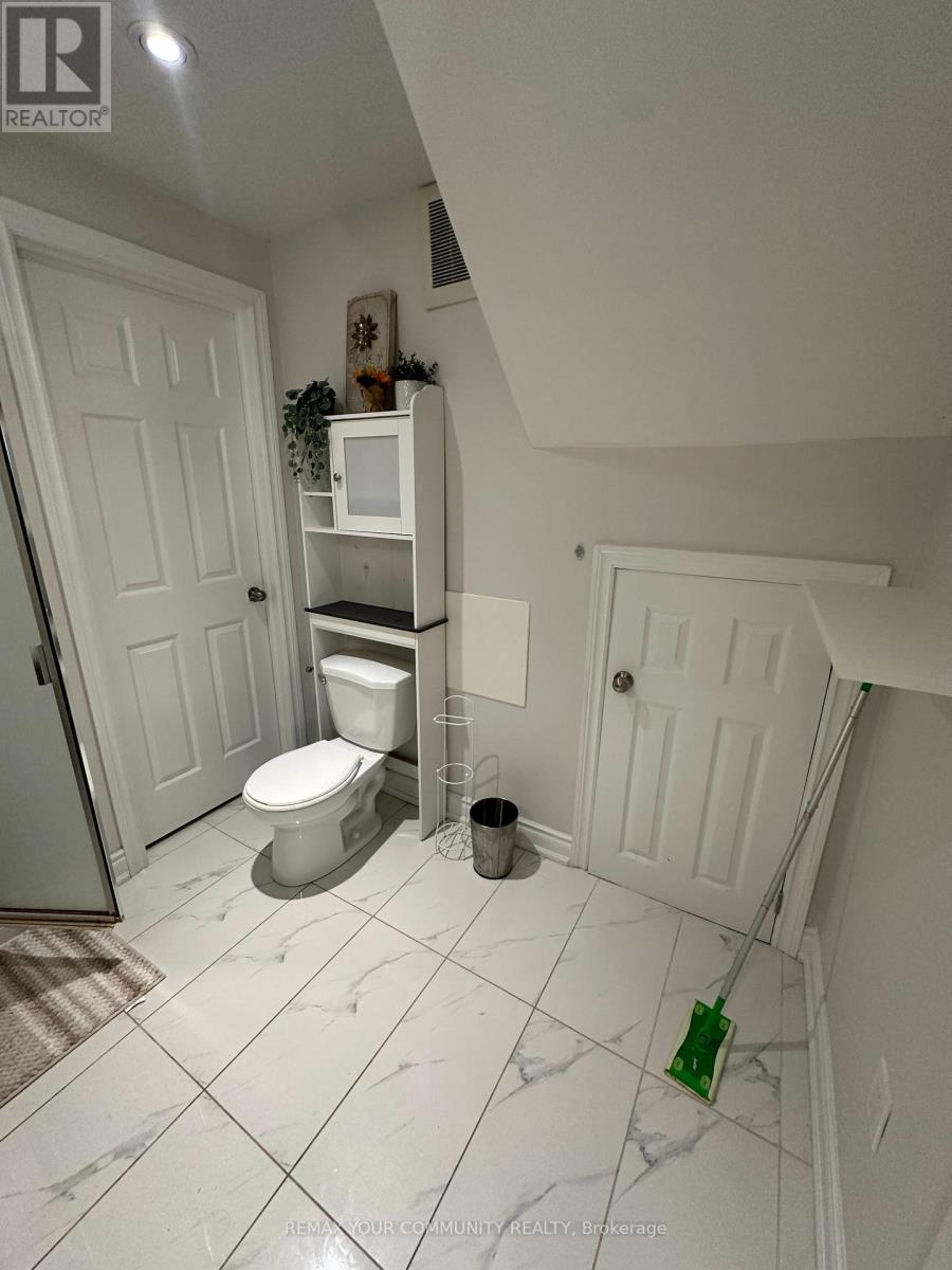 Lower - 9 Allysum Court, Richmond Hill, Ontario  L4E 4M7 - Photo 26 - N13743224