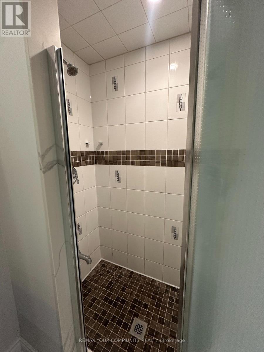 Lower - 9 Allysum Court, Richmond Hill, Ontario  L4E 4M7 - Photo 27 - N13743224
