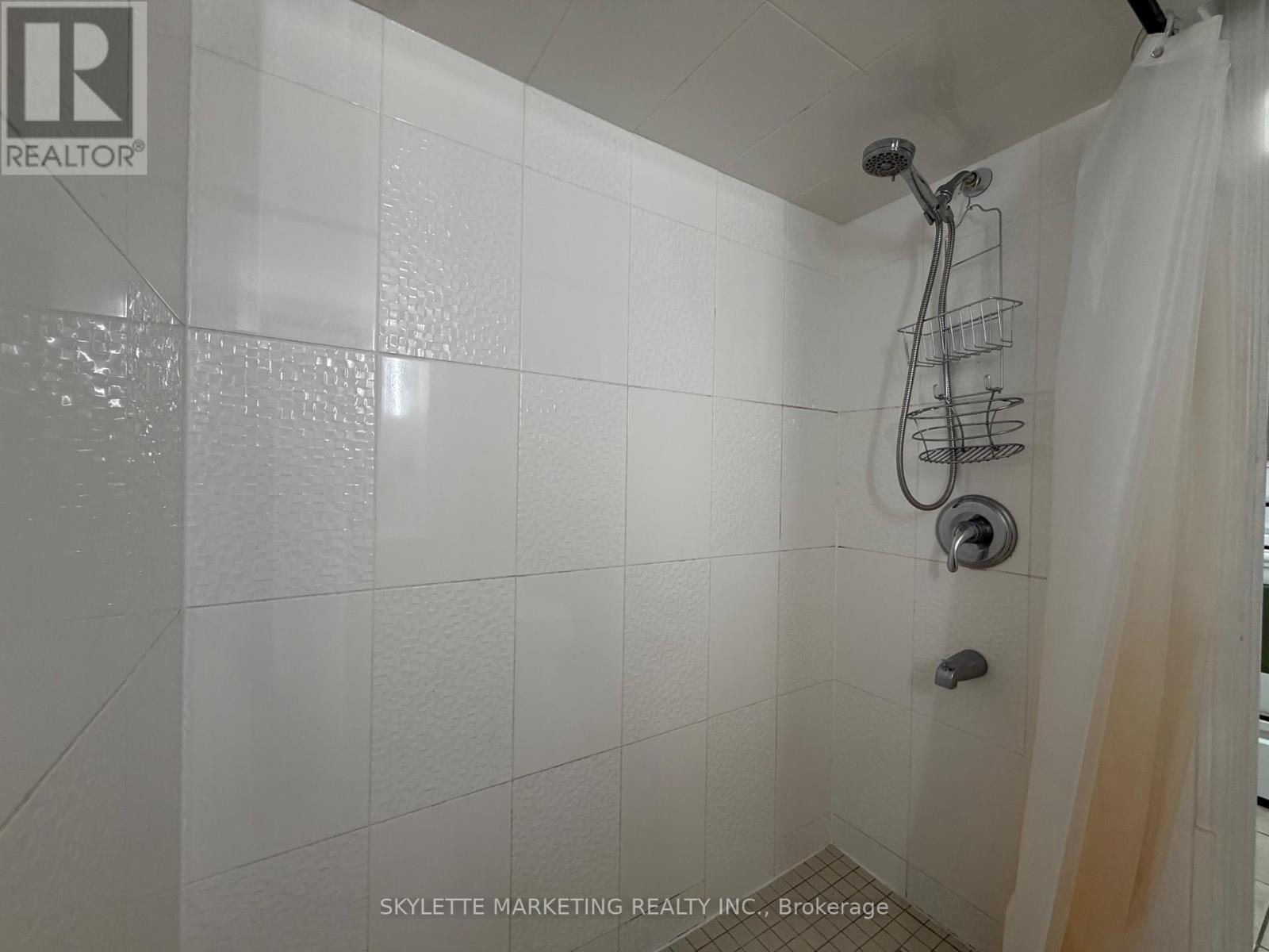 Lower - 229 Zelda Crescent, Richmond Hill, Ontario  L4C 2Y7 - Photo 16 - N13743248