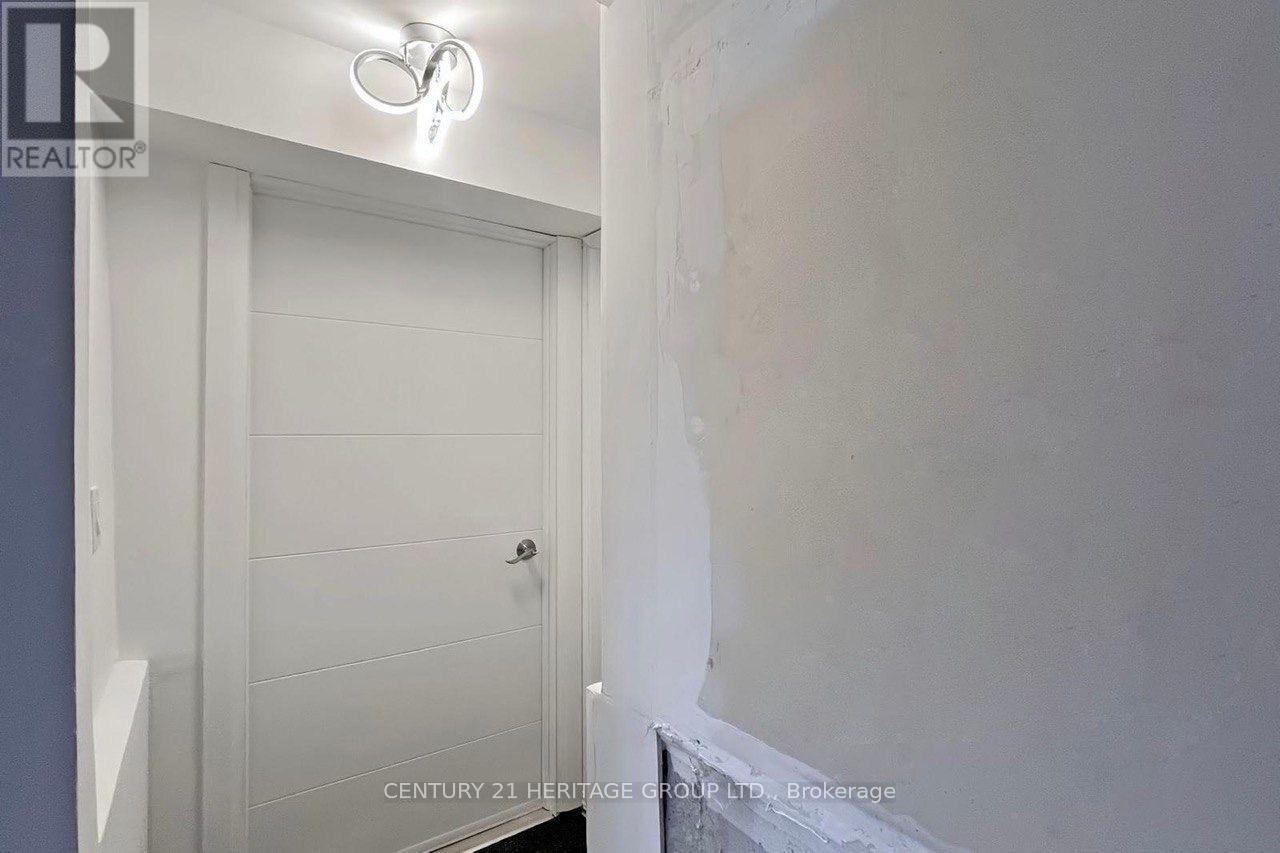 Basement - 50 Ken Bishop Way, Newmarket, Ontario  L3X 3J6 - Photo 7 - N13743382