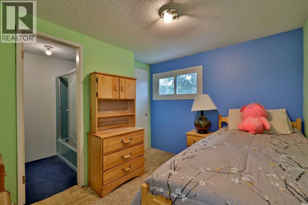 5108 51 Street, Bashaw, Alberta  T0B 0H0 - Photo 30 - A2342605